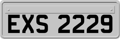 EXS2229