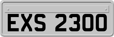 EXS2300