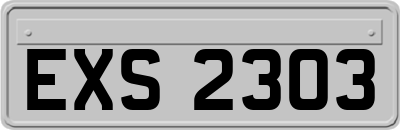 EXS2303