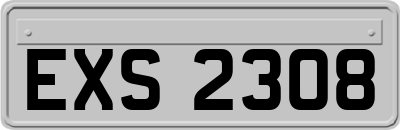 EXS2308