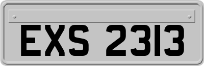 EXS2313
