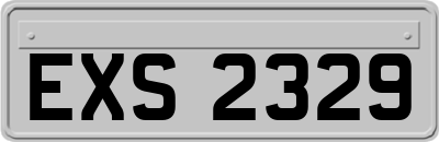 EXS2329