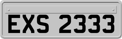 EXS2333