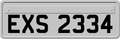 EXS2334