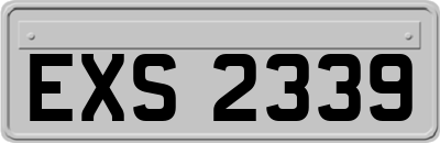 EXS2339