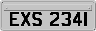 EXS2341