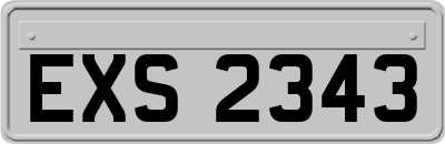 EXS2343