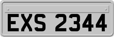 EXS2344