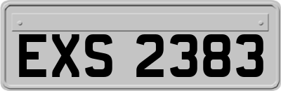 EXS2383