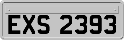EXS2393
