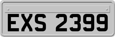 EXS2399