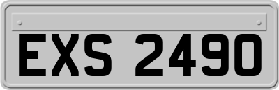 EXS2490