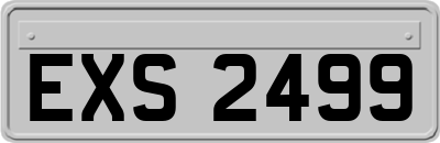 EXS2499
