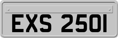 EXS2501