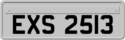 EXS2513