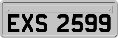 EXS2599