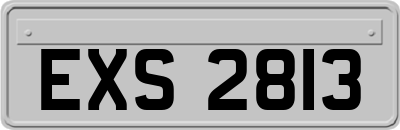EXS2813