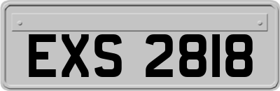 EXS2818