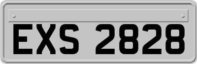 EXS2828