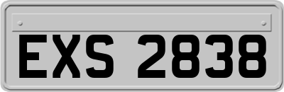 EXS2838