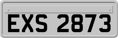 EXS2873