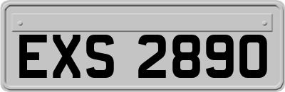 EXS2890