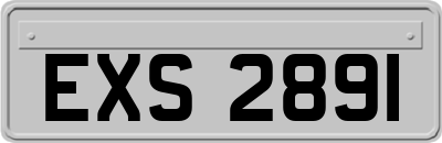 EXS2891