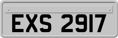 EXS2917