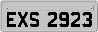 EXS2923