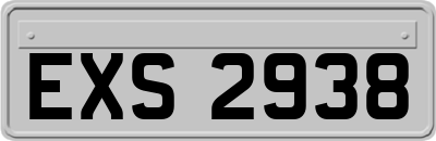EXS2938