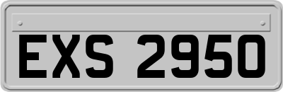 EXS2950