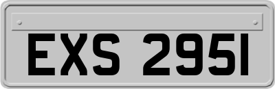 EXS2951