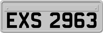 EXS2963