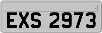 EXS2973