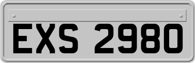 EXS2980