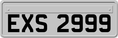 EXS2999