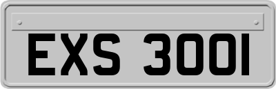 EXS3001