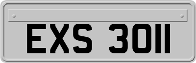 EXS3011