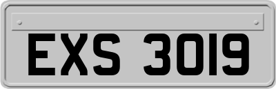 EXS3019