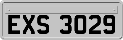 EXS3029