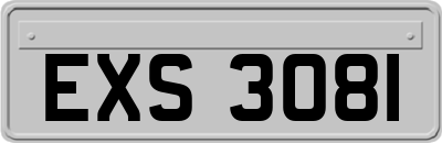 EXS3081