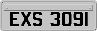 EXS3091