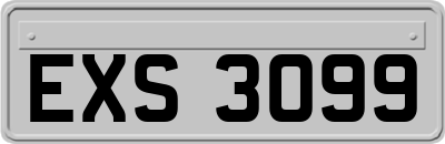EXS3099