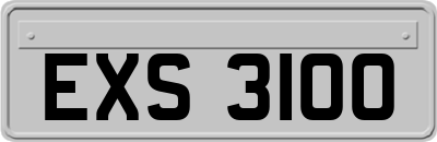 EXS3100