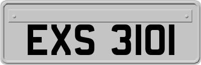 EXS3101