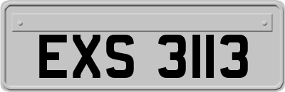 EXS3113