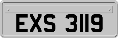 EXS3119