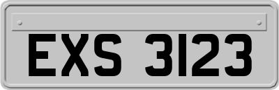 EXS3123