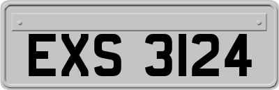 EXS3124