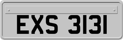 EXS3131